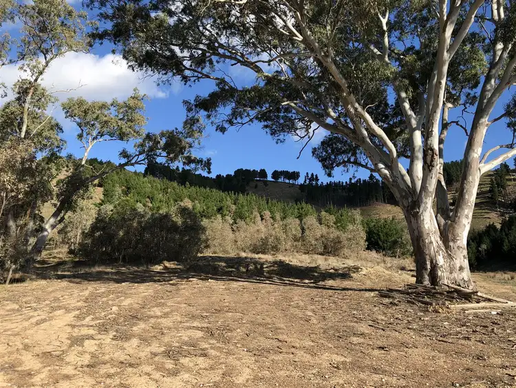 Seventh view of Homely rural property listing, 334 Clarkes Road, Yea VIC 3717