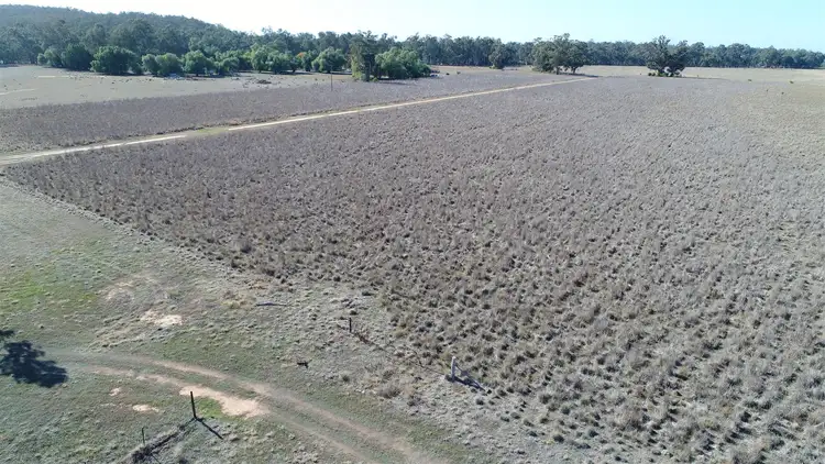 Seventh view of Homely rural property listing, Address available on request