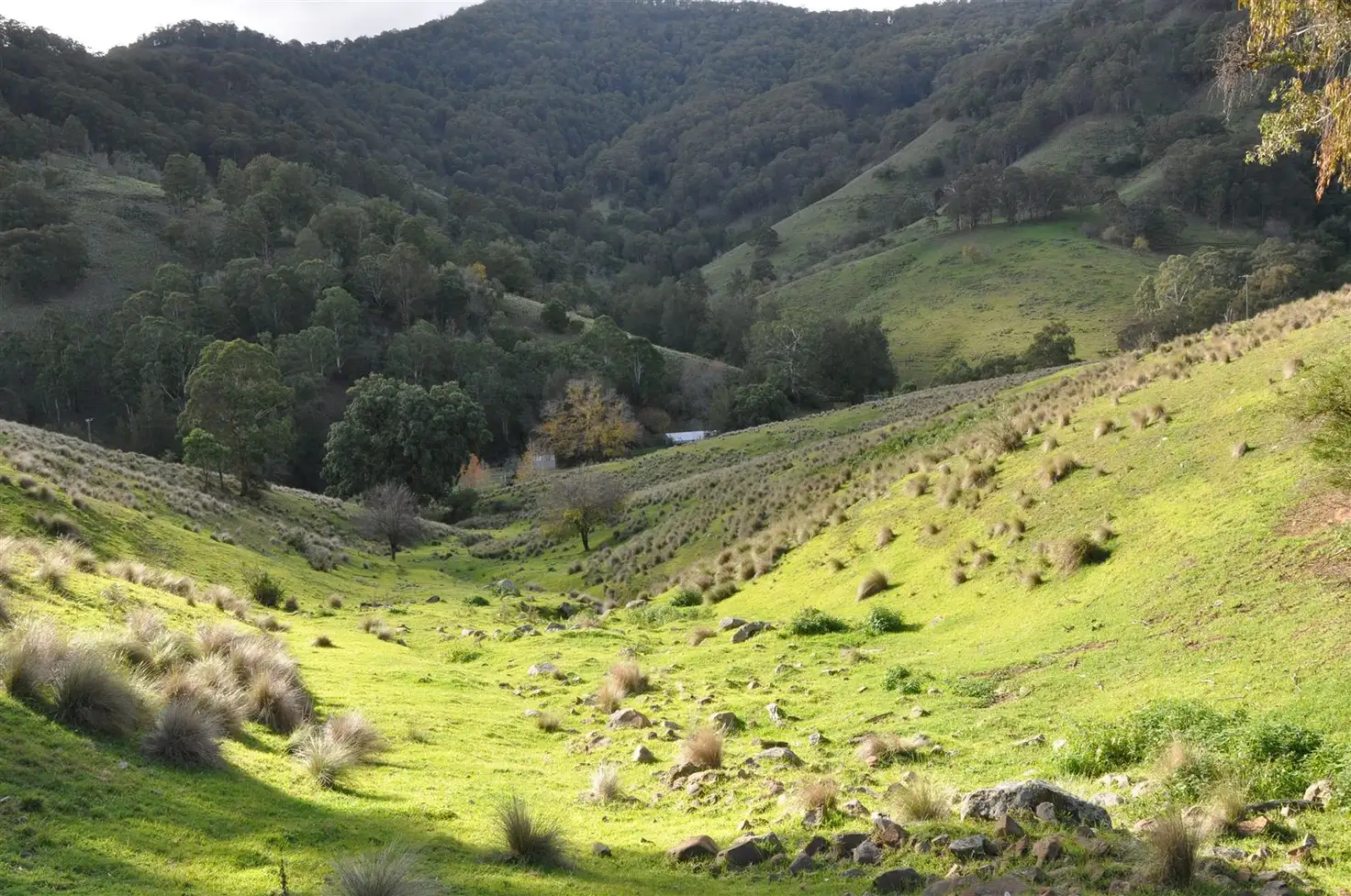 Main view of Homely rural property listing, 2356 Stewarts Brook Rd, 'Ninness', Stewarts Brook NSW 2337