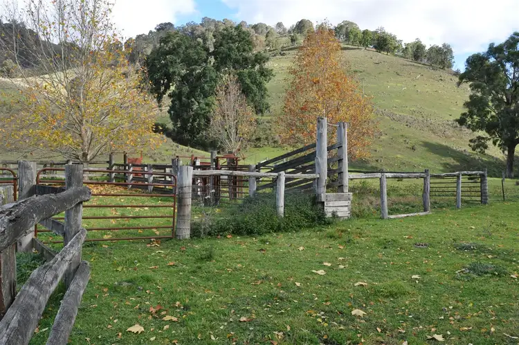 Second view of Homely rural property listing, 2356 Stewarts Brook Rd, 'Ninness', Stewarts Brook NSW 2337