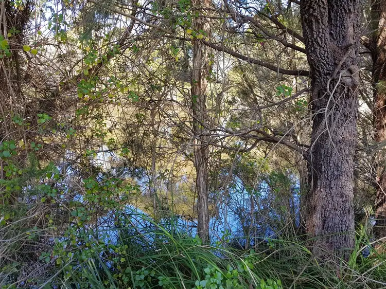 Third view of Homely land listing, 39 LAWRY HEIGHTS, St Helens TAS 7216