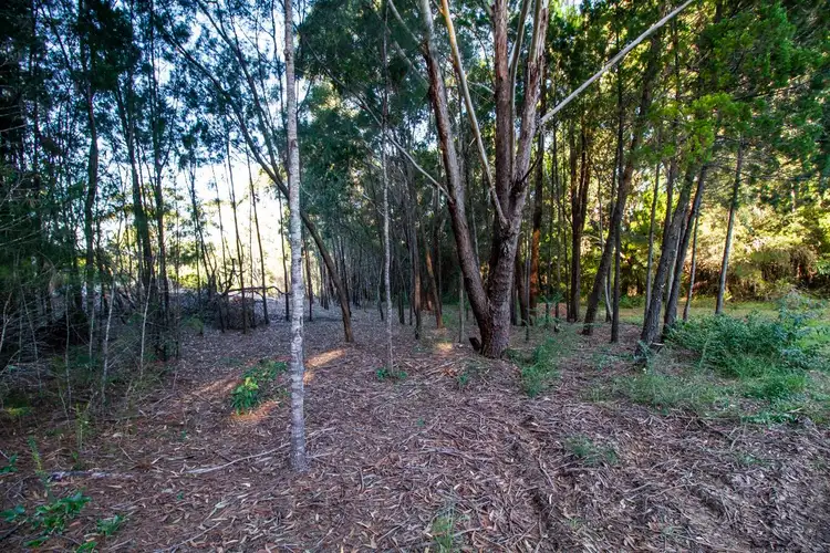 Fifth view of Homely land listing, 47 Trimaran St, Russell Island QLD 4184