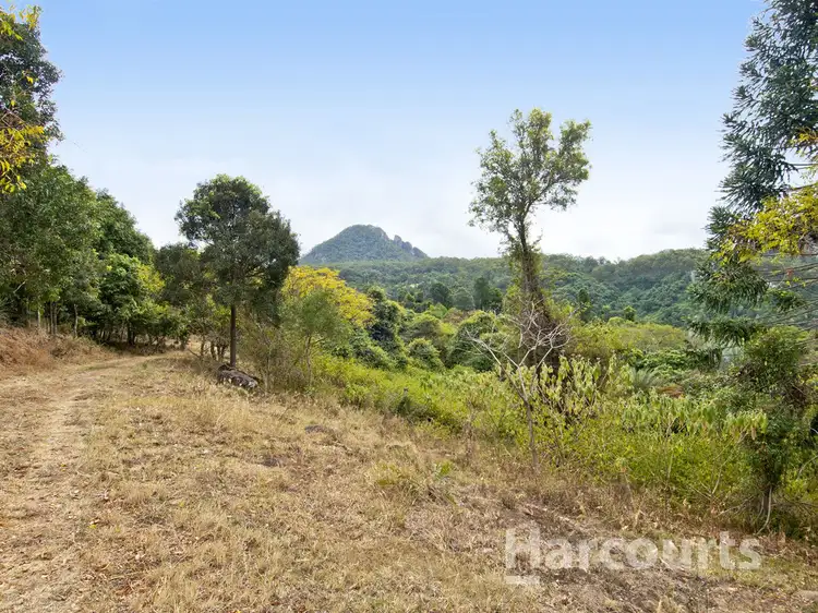 Fifth view of Homely land listing, 40 Mount Elliot Road, Undullah QLD 4285