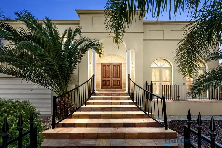Main view of Homely house listing, 93 Essex Road, Mount Waverley VIC 3149