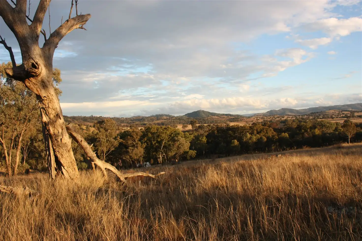 Main view of Homely rural property listing, Address available on request
