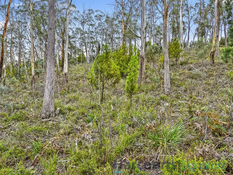 Seventh view of Homely land listing, 3 Deborah Lane, Dodges Ferry TAS 7173