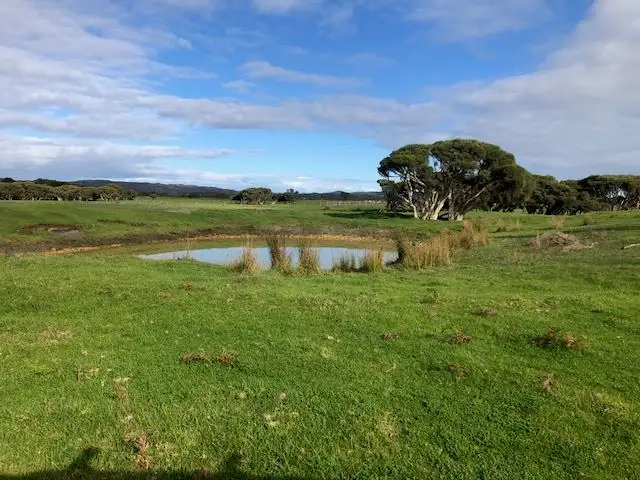 Second view of Homely rural property listing, 102 Kingdons Road, Denmark WA 6333