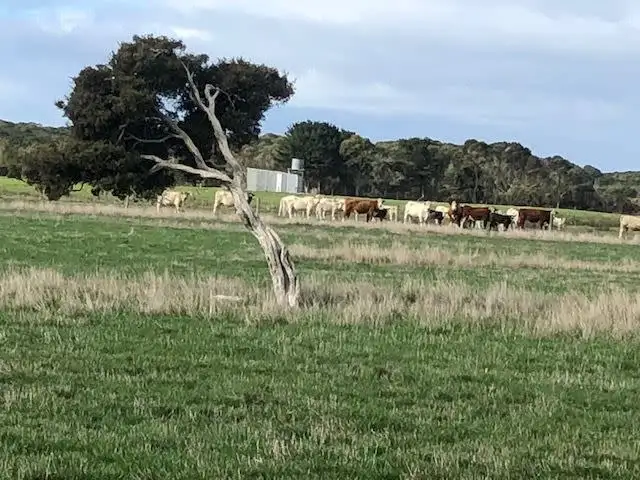 Fifth view of Homely rural property listing, 102 Kingdons Road, Denmark WA 6333