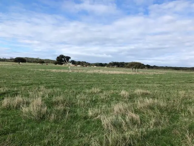 Sixth view of Homely rural property listing, 102 Kingdons Road, Denmark WA 6333