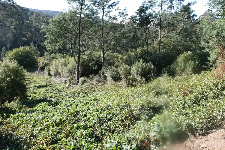 Second view of Homely land listing, PID 2633004 Lottah Road, Lottah TAS 7216