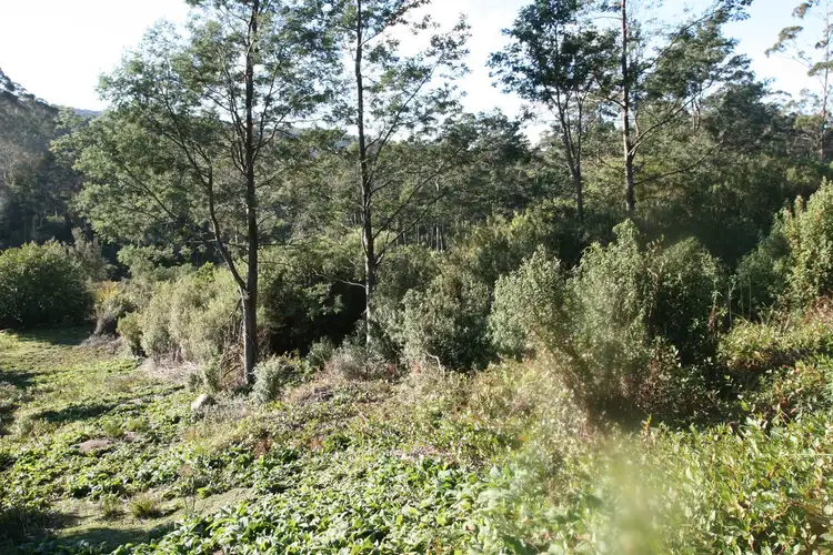 Third view of Homely land listing, PID 2633004 Lottah Road, Lottah TAS 7216