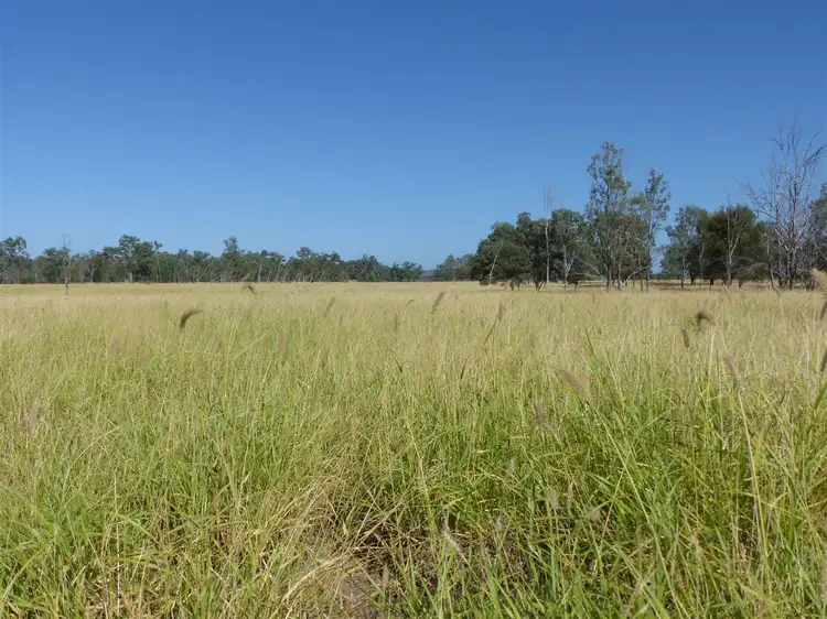 Fourth view of Homely rural property listing, . "Loch Craig", Taroom QLD 4420