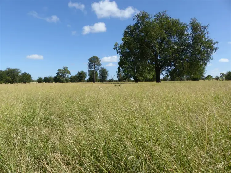 Fifth view of Homely rural property listing, . "Loch Craig", Taroom QLD 4420