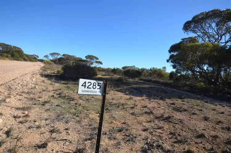 Second view of Homely rural property listing, 4285 Goondooloo Road, Halidon SA 5309
