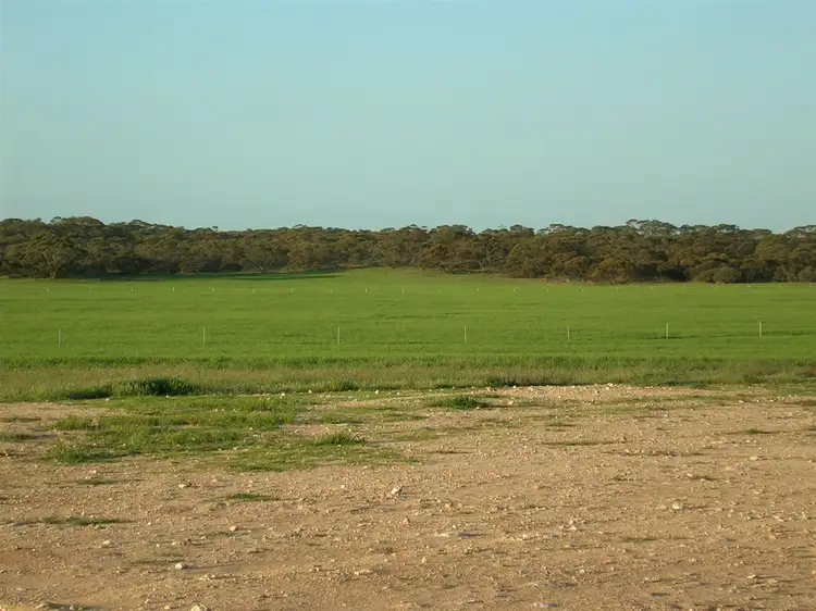 Third view of Homely rural property listing, 4285 Goondooloo Road, Halidon SA 5309