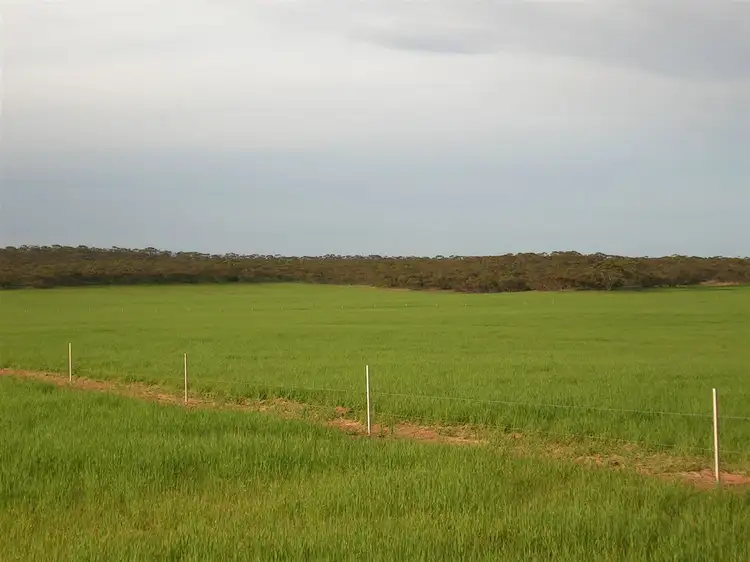 Fourth view of Homely rural property listing, 4285 Goondooloo Road, Halidon SA 5309