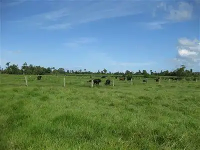 Main view of Homely rural property listing, 22 Russell Henry Road, Murray Upper QLD 4854