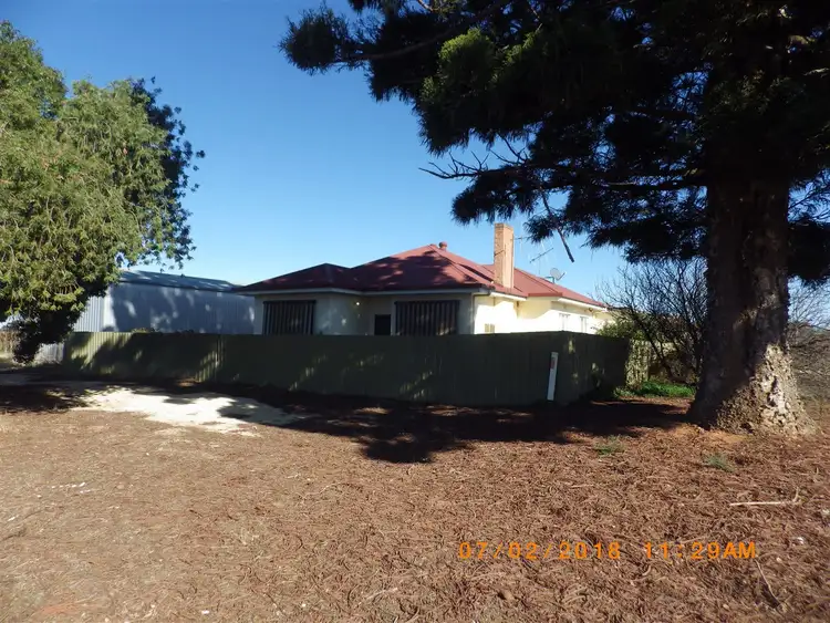 Second view of Homely rural property listing, 16 Puddletown Road, Barmera SA 5345