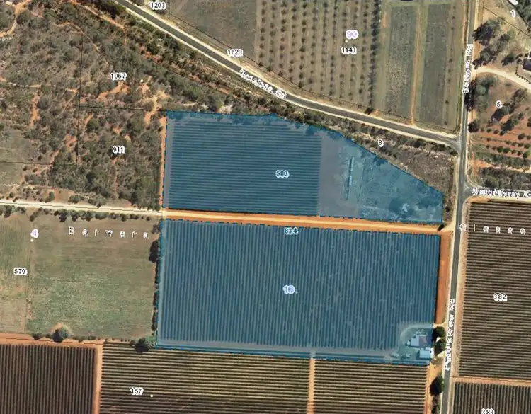 Fourth view of Homely rural property listing, 16 Puddletown Road, Barmera SA 5345