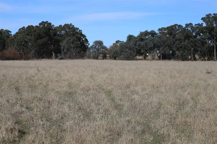 Second view of Homely rural property listing, lot 163 Flacknell Creek Road, Gunning NSW 2581