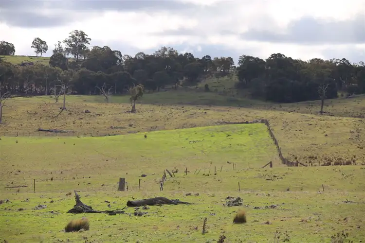 Sixth view of Homely rural property listing, lot 163 Flacknell Creek Road, Gunning NSW 2581
