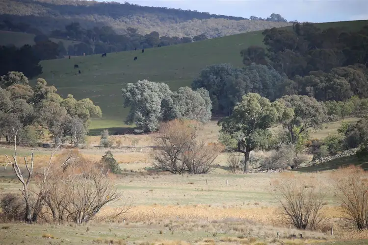 Seventh view of Homely rural property listing, lot 163 Flacknell Creek Road, Gunning NSW 2581