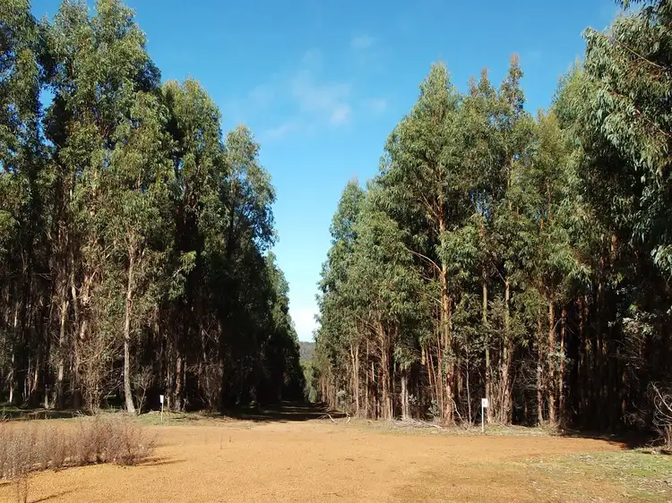 Fourth view of Homely rural property listing, ' Coolgarrup', Bridgetown WA 6255