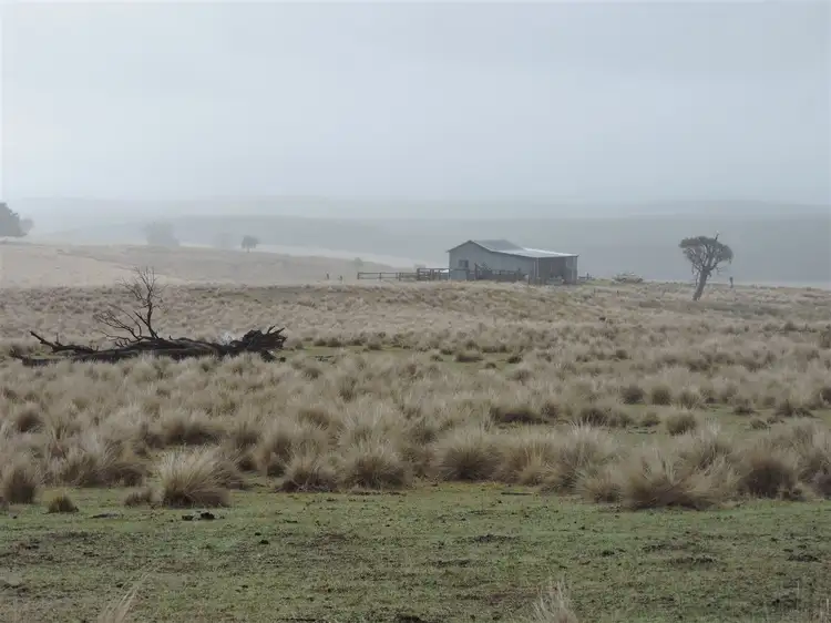 0 Haydens Bog Road, Delegate NSW 2633