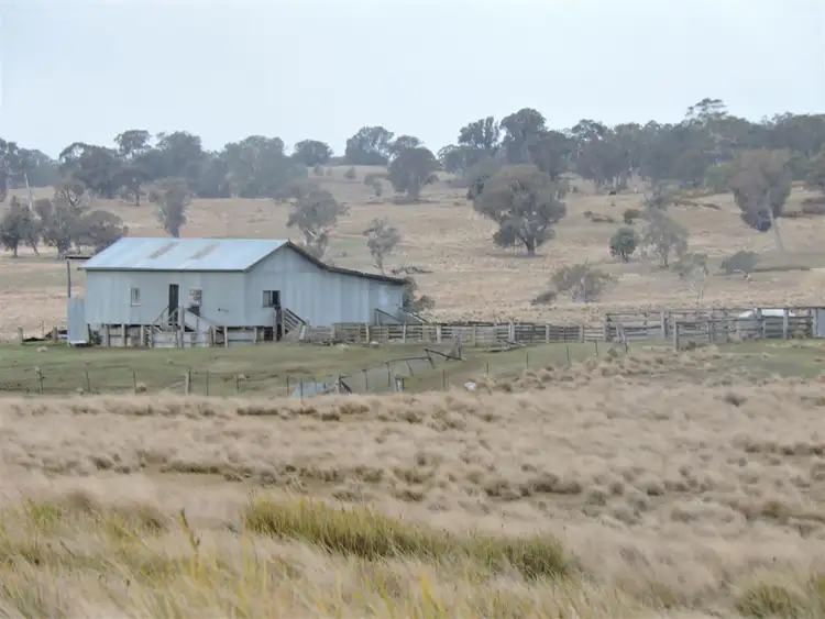 Third view of Homely rural property listing, 0 Haydens Bog Road, Delegate NSW 2633