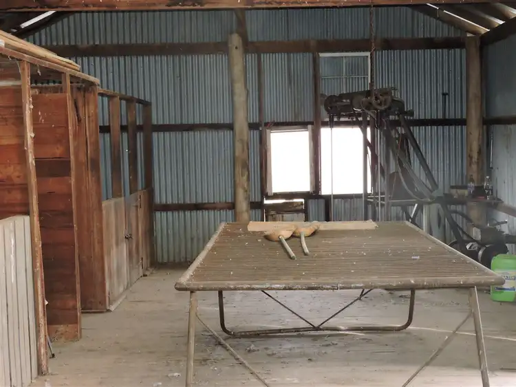 Fourth view of Homely rural property listing, 0 Haydens Bog Road, Delegate NSW 2633