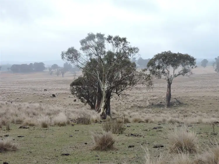 Seventh view of Homely rural property listing, 0 Haydens Bog Road, Delegate NSW 2633