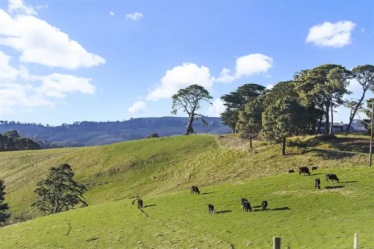 Third view of Homely rural property listing, 580 Fairbank Road, Arawata VIC 3951