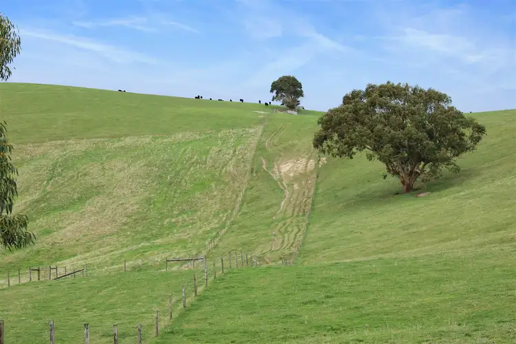 Seventh view of Homely rural property listing, 87 Hughes Road, Nerrena VIC 3953