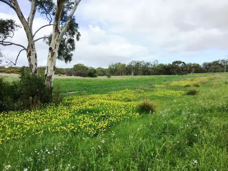Main view of Homely rural property listing, * The Midlands Road, Dongara WA 6525