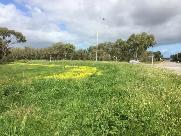Sixth view of Homely rural property listing, * The Midlands Road, Dongara WA 6525