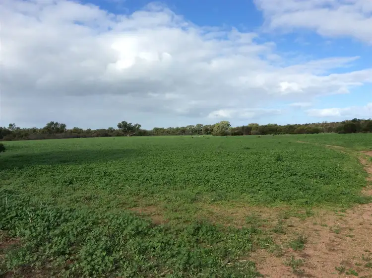 Seventh view of Homely rural property listing, * The Midlands Road, Dongara WA 6525
