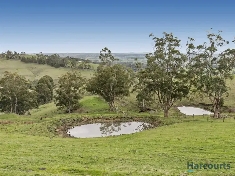 Fifth view of Homely rural property listing, 307 Yarragon South Road, Yarragon South VIC 3823