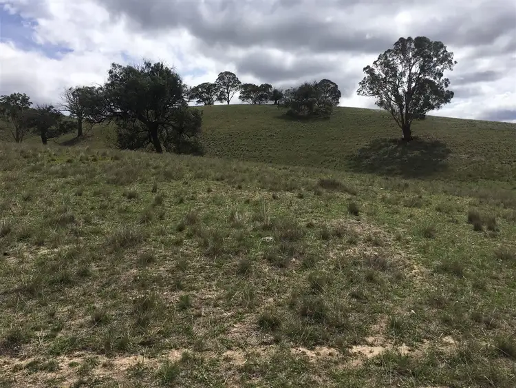 Sixth view of Homely rural property listing, 945 Crudine Road Ilford, Rylstone NSW 2849