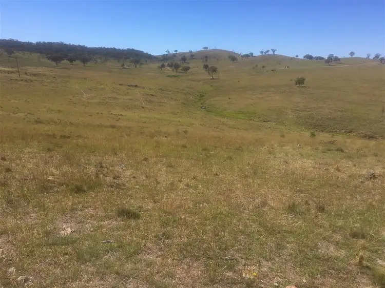 Third view of Homely rural property listing, 1257 Windeyer Road, Mudgee NSW 2850