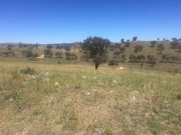 Fifth view of Homely rural property listing, 1257 Windeyer Road, Mudgee NSW 2850