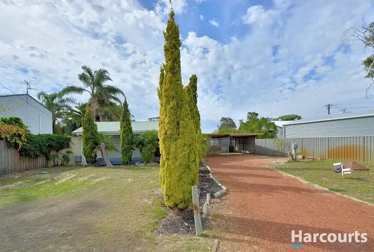 Main view of Homely house listing, 5 Janice Avenue, Falcon WA 6210