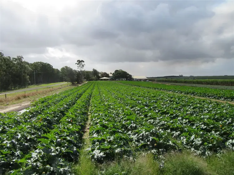 Lot 2 Tinana Road, Goomboorian QLD 4570