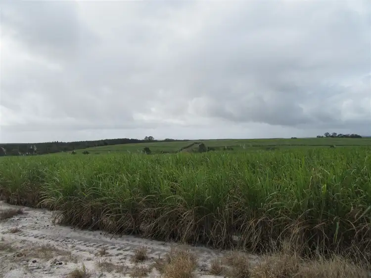 Seventh view of Homely rural property listing, Lot 2 Tinana Road, Goomboorian QLD 4570