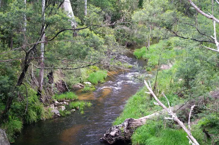 Main view of Homely rural property listing, 2332 Monaro Highway, Bombala NSW 2632