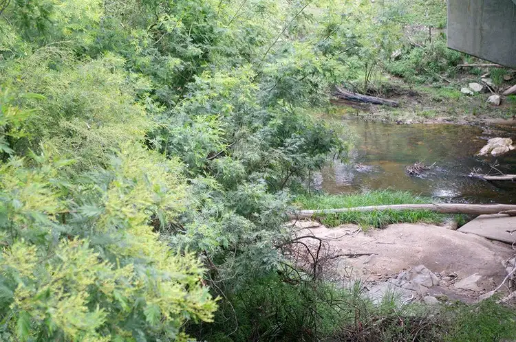 Second view of Homely rural property listing, 2332 Monaro Highway, Bombala NSW 2632