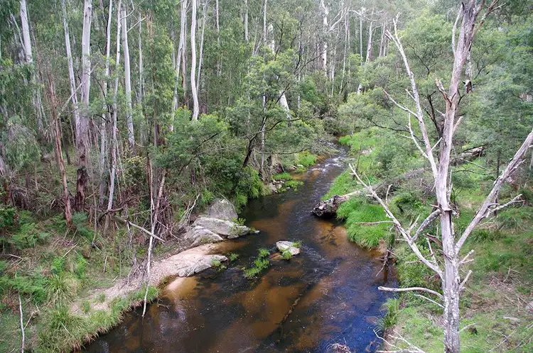 Third view of Homely rural property listing, 2332 Monaro Highway, Bombala NSW 2632