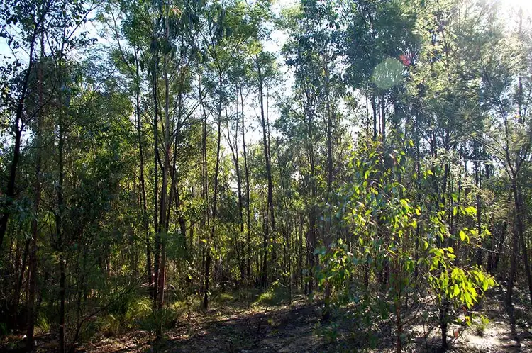 Fifth view of Homely rural property listing, 2332 Monaro Highway, Bombala NSW 2632