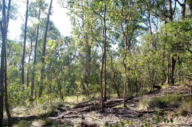 Seventh view of Homely rural property listing, 2332 Monaro Highway, Bombala NSW 2632