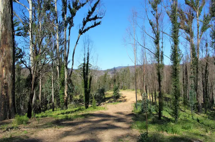 Main view of Homely rural property listing, Lot 380 New Station Creek Road, Wyndham NSW 2550