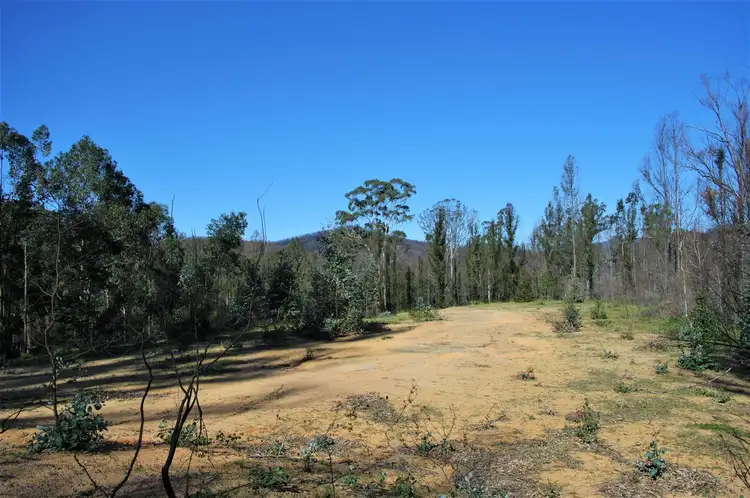 Second view of Homely rural property listing, Lot 380 New Station Creek Road, Wyndham NSW 2550